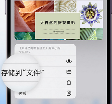 竹溪apple维修中心分享iPhone文件应用中存储和找到下载文件