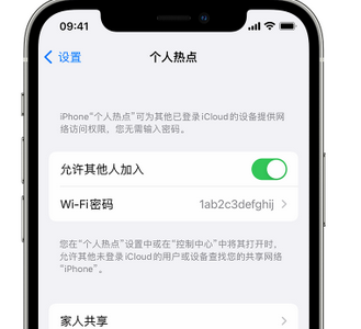 竹溪apple服务站点分享iPhone上个人热点丢失了怎么办 