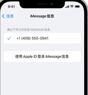 竹溪apple维修iPhone上无法正常发送iMessage信息 