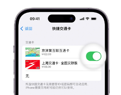 竹溪apple维修点分享iPhone上更换Apple Pay快捷交通卡手绘卡面 