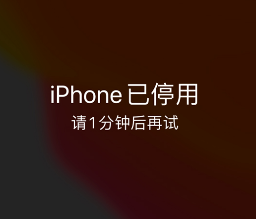 竹溪苹果手机维修分享:iPhone 显示“不可用”或“已停用”怎么办？还能保留数据吗？ 