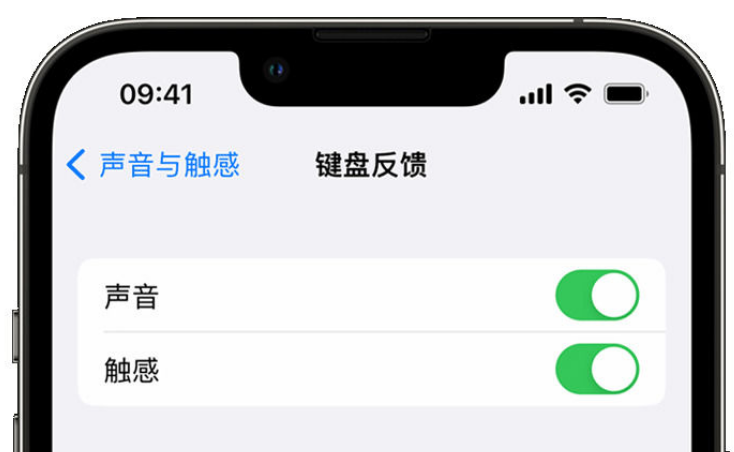 竹溪苹果手机维修分享iPhone 14触感键盘使用方法 