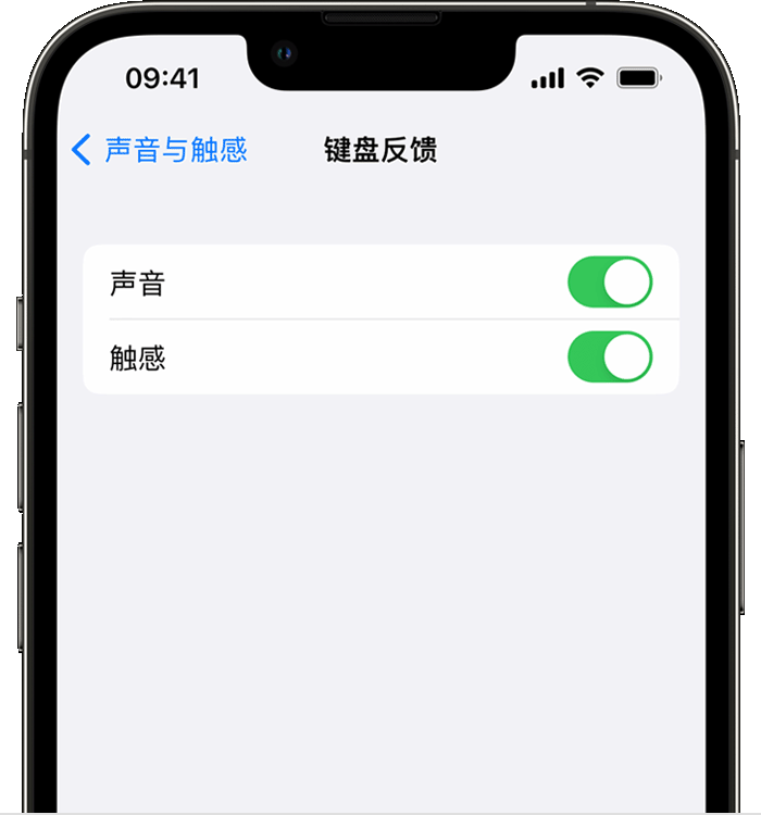 竹溪苹果14维修店分享如何在 iPhone 14 机型中使用触感键盘 