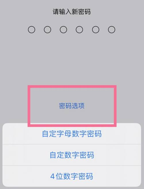 竹溪苹果14维修分享iPhone 14plus设置密码的方法 