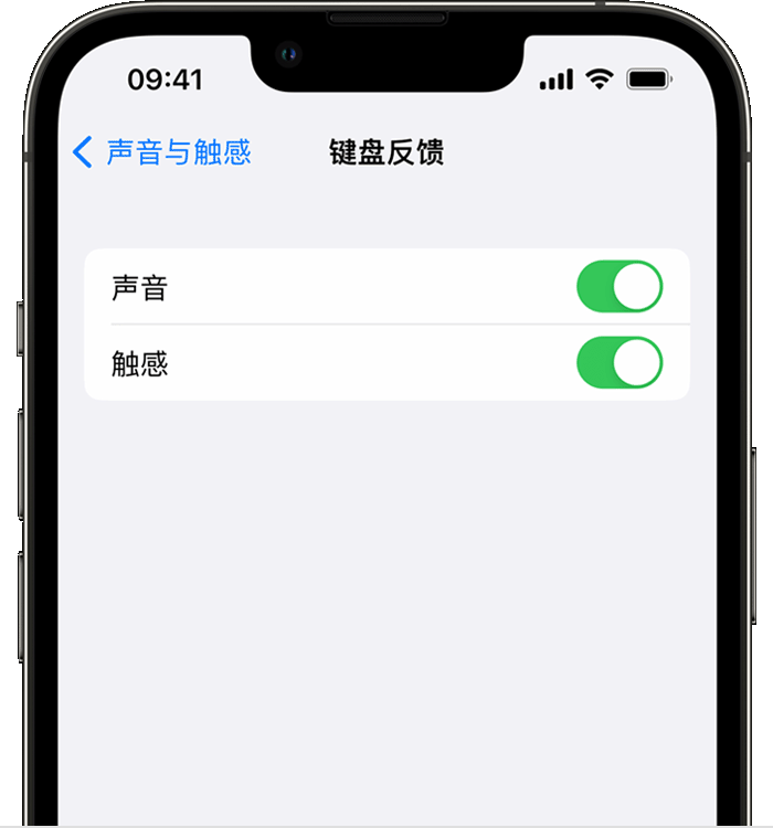 竹溪苹果14维修分享iPhone 14 系列机型如何开启键盘声音或触感反馈 