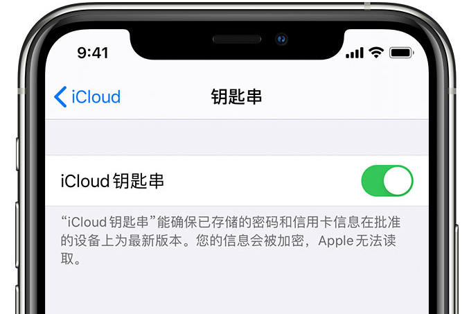 竹溪苹果手机维修分享在 iPhone 上开启 iCloud 钥匙串之后会储存哪些信息 