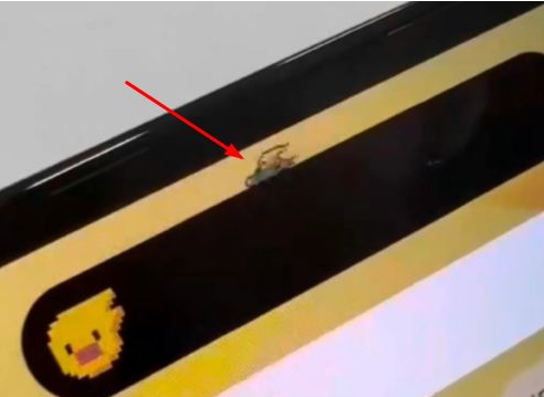 竹溪苹果14维修分享iPhone 14 Pro Max灵动岛怎么养宠物 