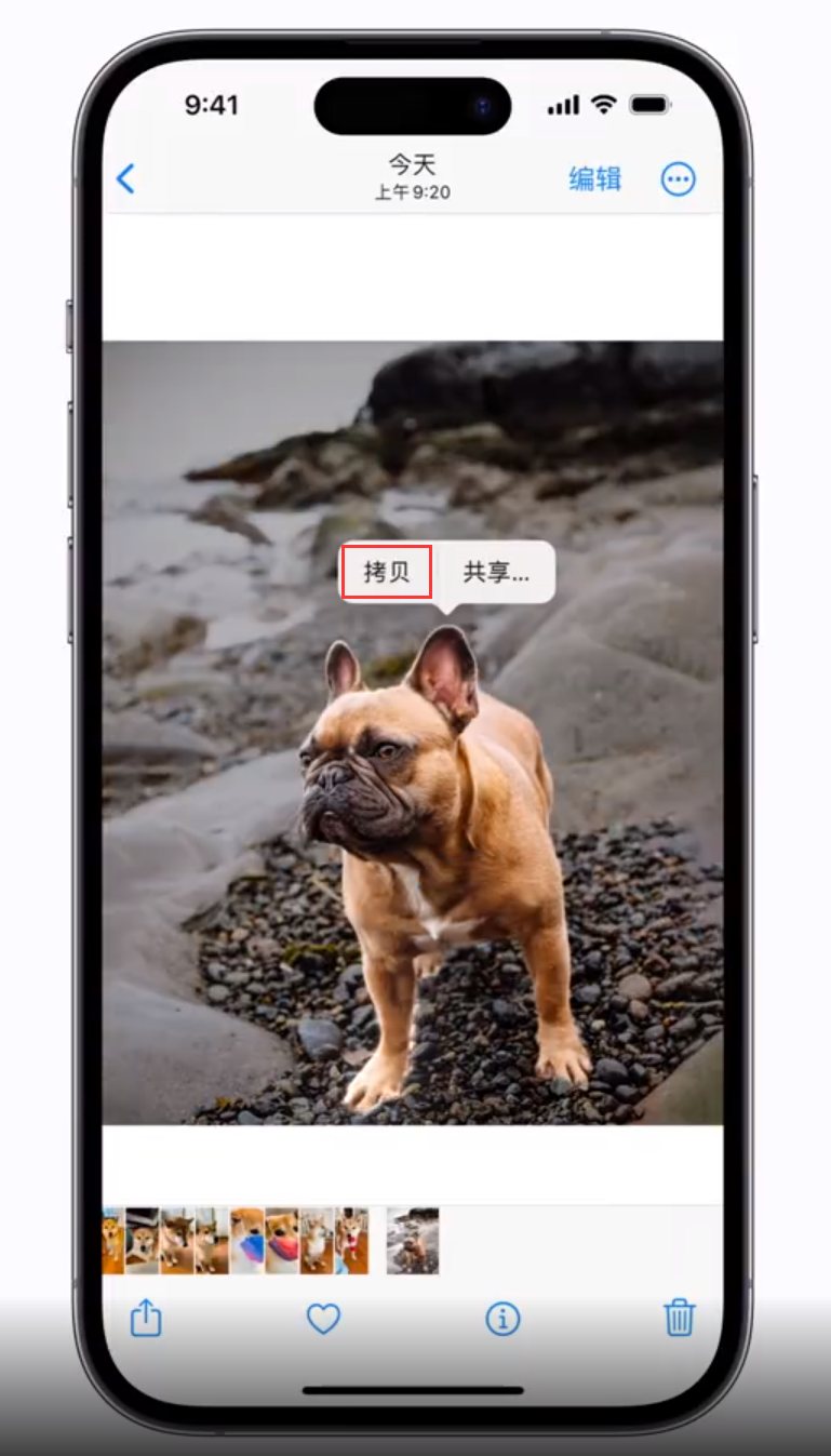 竹溪苹果手机维修分享 iOS 16 自带一键抠图功能 