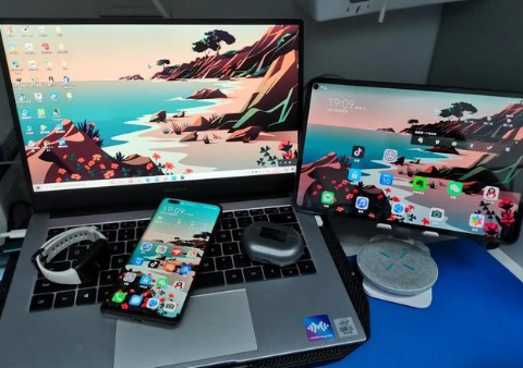 竹溪苹果手机维修分享为什么iPad屏幕更大价格却比iPhone低 