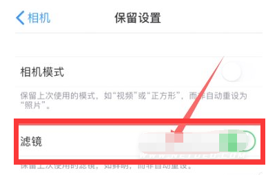 竹溪苹果13维修分享iPhone13拍照有绿点是怎么回事 