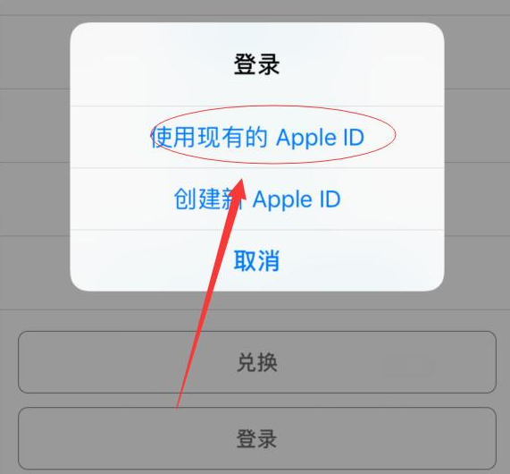 竹溪苹果手机维修分享两台iPhone设备可以同时登录一个Apple ID吗 