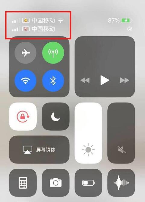 竹溪苹果手机维修分享为 iPhone 12 双卡设置标签 