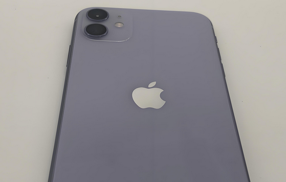 竹溪苹果11系统维修分享iPhone11手机系统崩溃无法开机如何解决